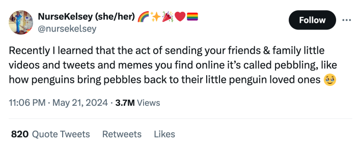 Screenshot of a tweet. Text reads, "Recently I learned that the act of sending your friends & family little videos and tweets and memes you find online it’s called pebbling, like how penguins bring pebbles back to their little penguin loved ones"