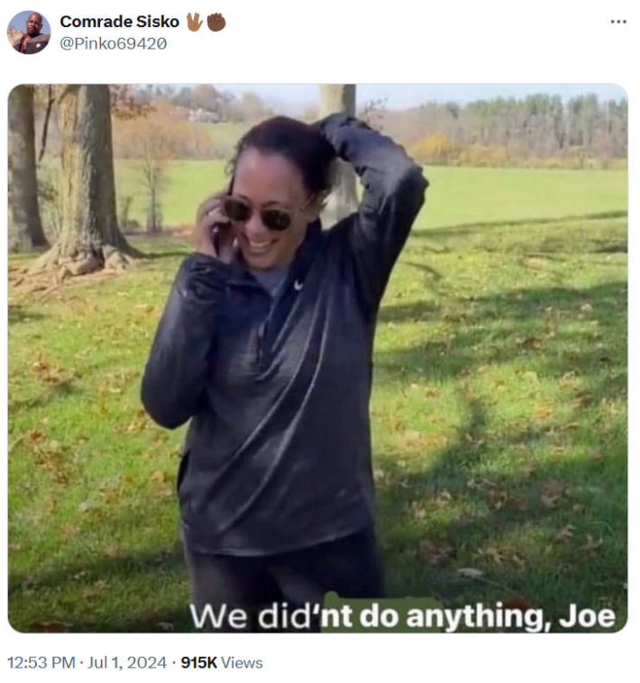 supreme court meme with kamala harris on the phone saying "we didn't do anything, Joe"