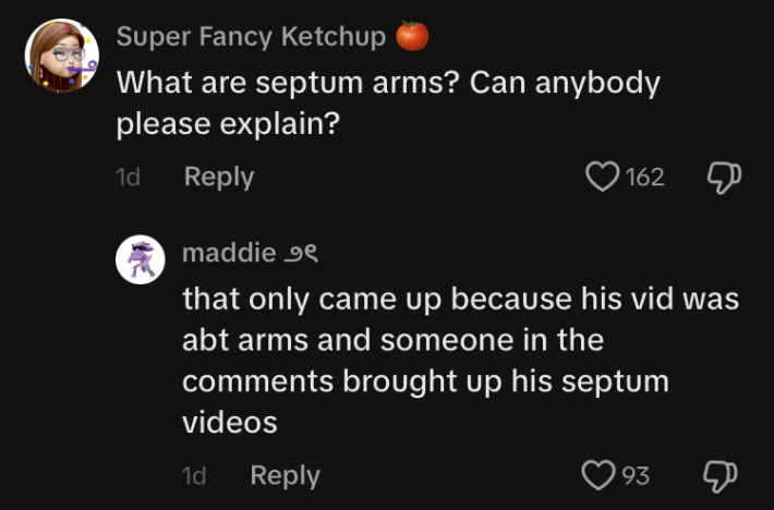 TikTok comment section conversation. Super Fancy Ketchup says, "What are septum arms? Can anybody please explain?" And maddie replies, "that only came up because his vid was [about] arms and someone in the comments brought up his septum videos."