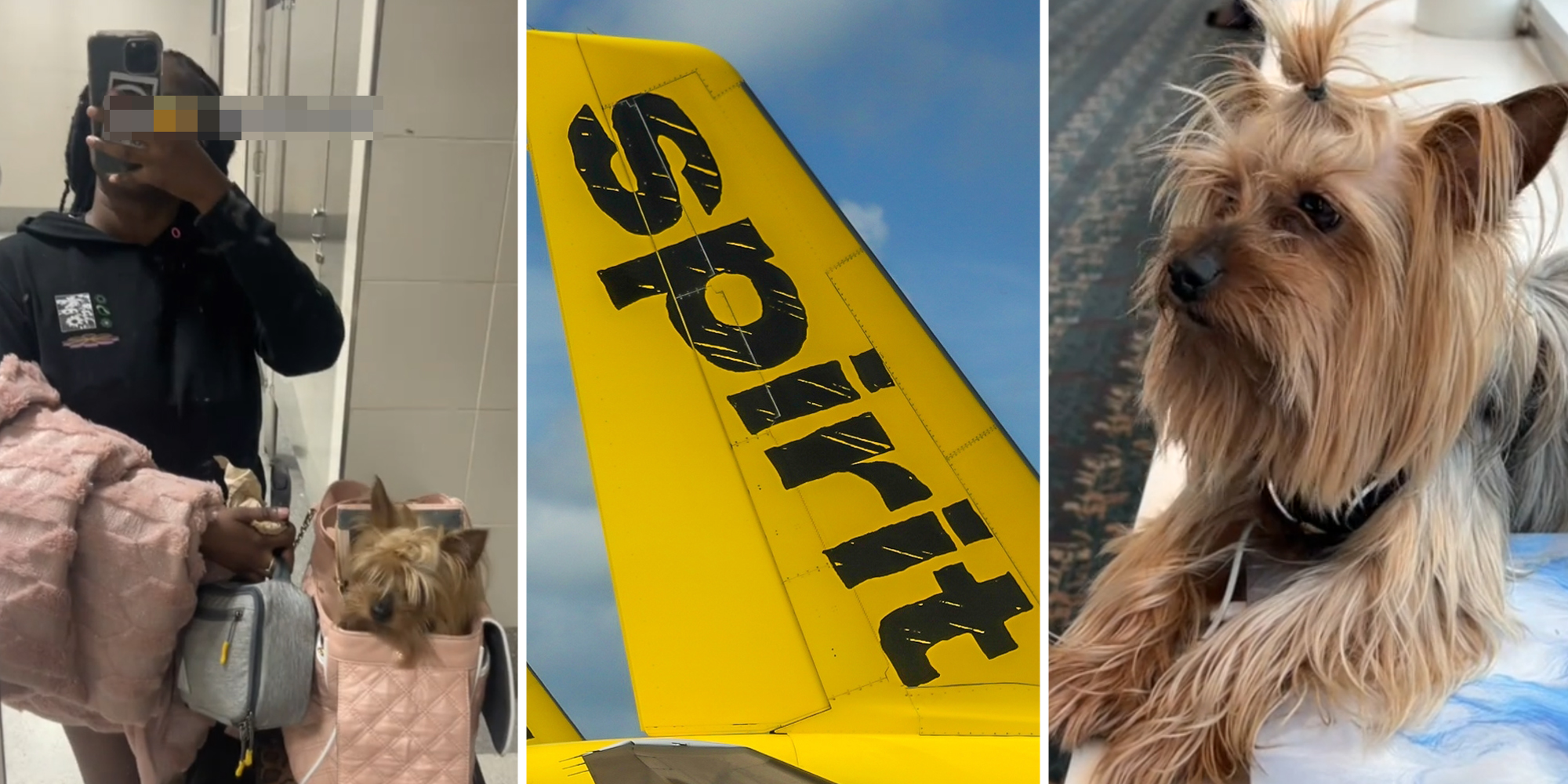 Woman with her dog(l), Spirit Airlines plane(c), Dog(r)