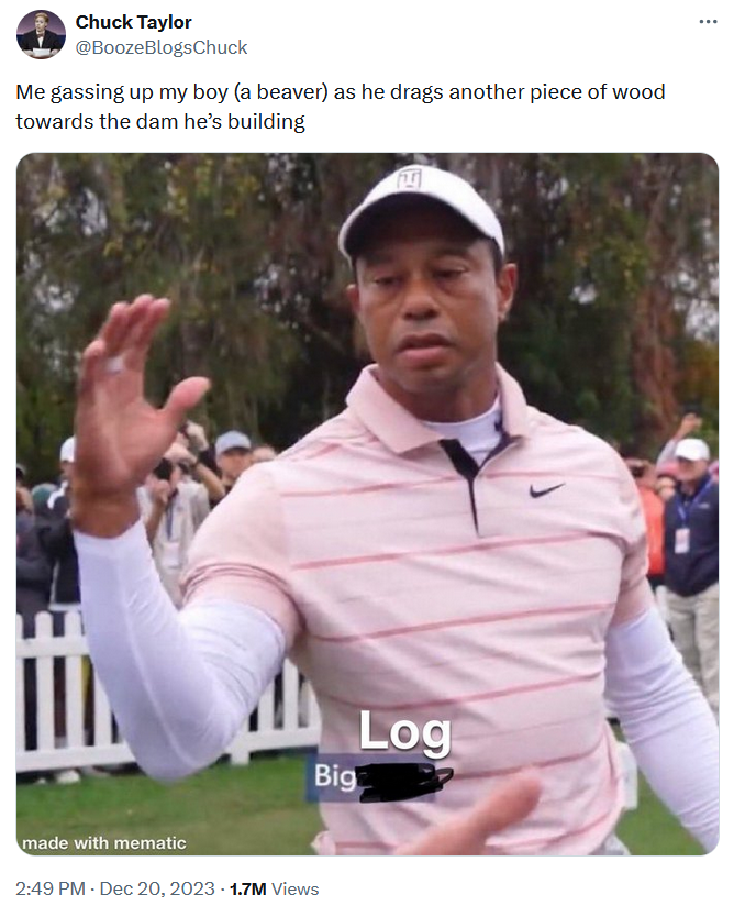 Tiger Woods big dog meme about beavers that says "big log."