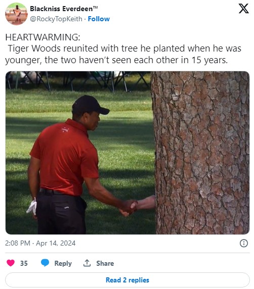 Tiger woods shaking hands with a tree meme in a tweet that reads "HEARTWARMING: Tiger Woods reunited with tree he planted when he was younger, the two haven’t seen each other in 15 years"
