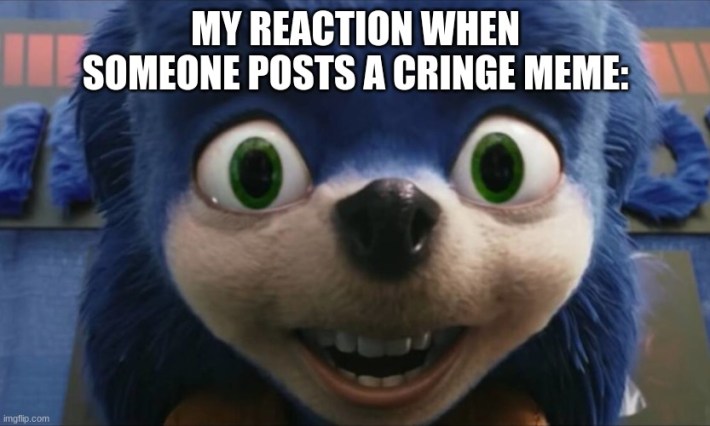 ugly sonic with caption "my reactionwhen seomeone posts a cringe meme"