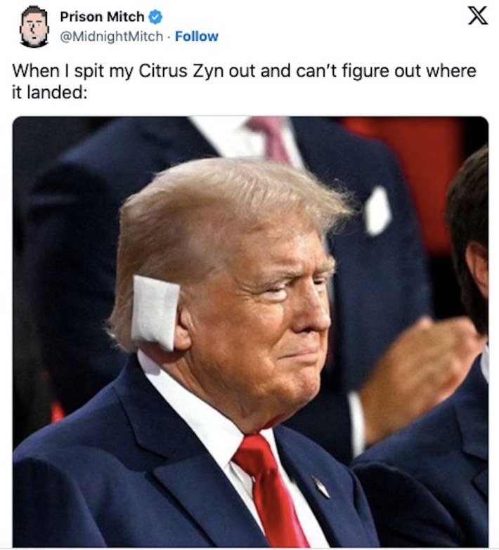 Zyn Meme showing Donald Trump with a white cloth square over his ear above the caption: "When I spit my Zyn out and can't figure out where it landed"