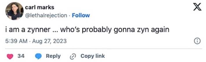 Zyn Meme reading: "I am a zynner...who's probably gonna zyn again"