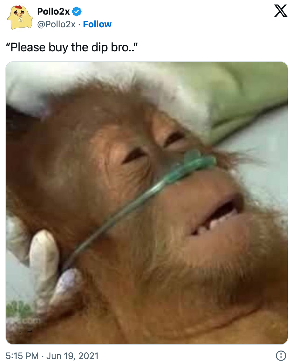 Buy The Dip Meme: Origins And Examples