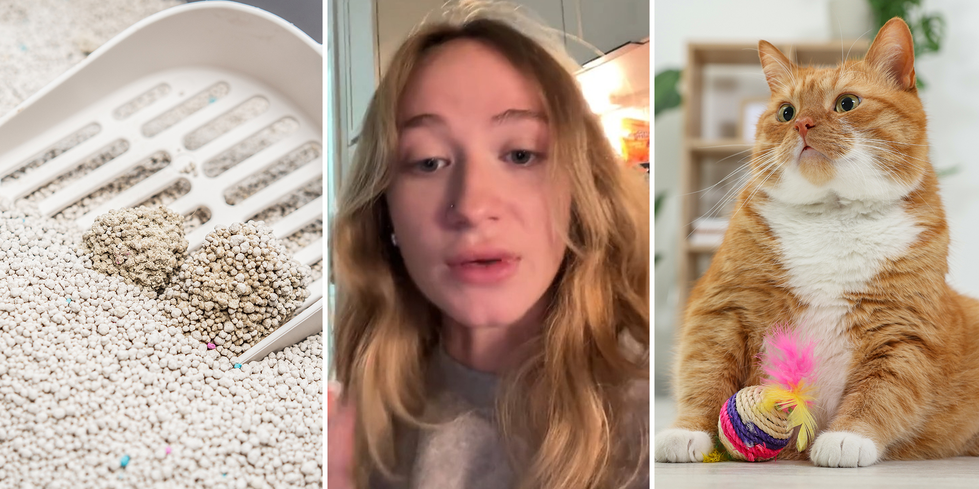 Woman’s trick to litter box odor is DampRid. Does it work?