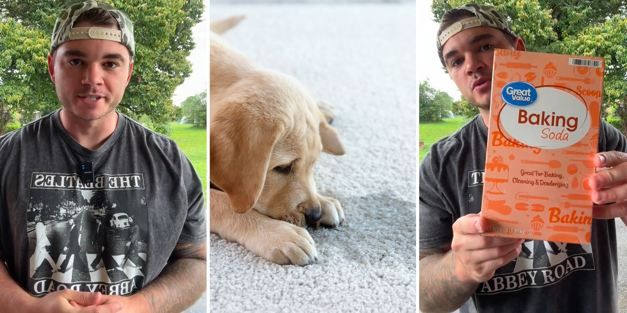 Expert shares how to get rid of dog stains with baking soda and vinegar