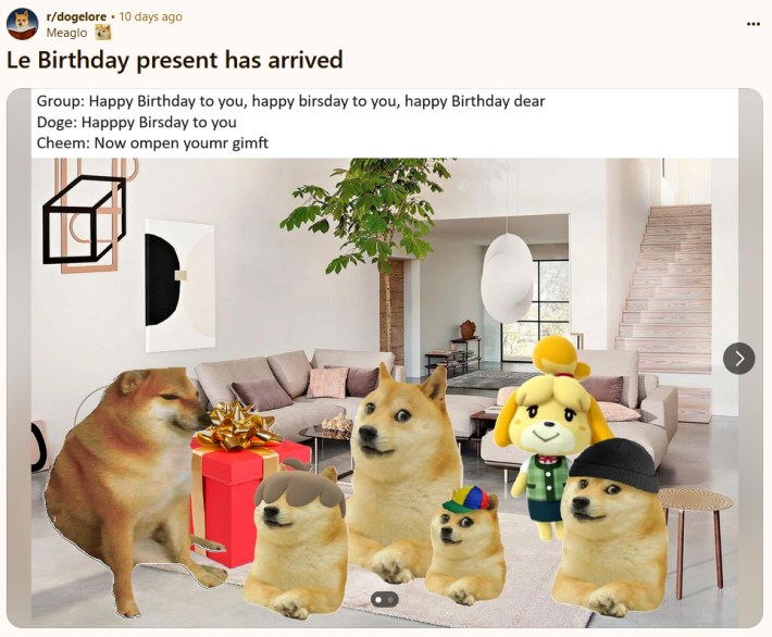 Cheems meme with Kabosu about birthday parties.