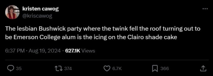 "The lesbian Bushwick party where the twink fell the roof turning out to be Emerson College alum is the icing on the Clairo shade cake" tweet