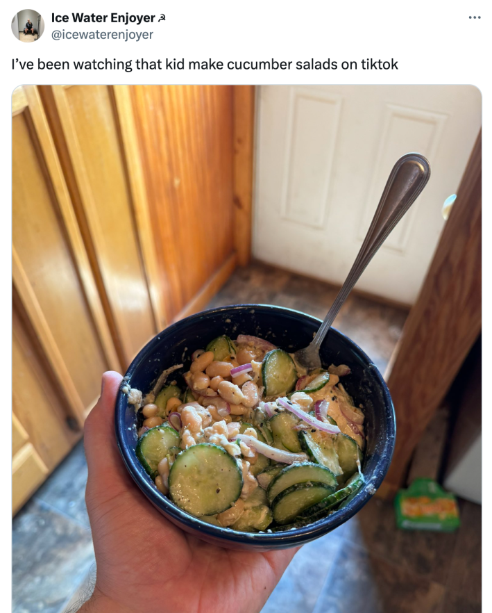 Photo of a cucumber salad in a bowl. Text reads, "I’ve been watching that kid make cucumber salads on tiktok"