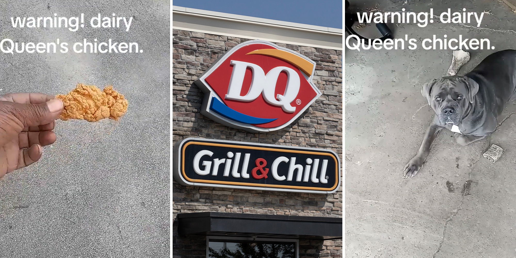 Dairy Queen customer warns against chicken after his dog refused to eat it