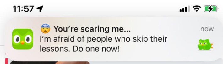 duolingo notification that reads "i'm afraid of people who skip their lessons, do one now"