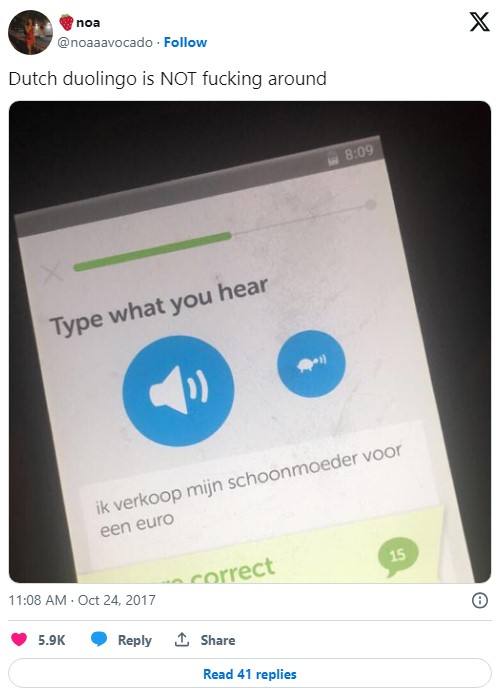 dutch sentence on duolingo that translates to "I am selling my mother-in-law for a euro"
