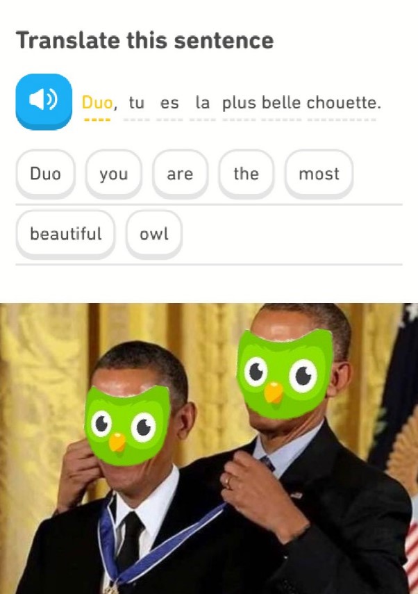 duo giving duo a medal with the caption "duo you are the most beautiful owl"
