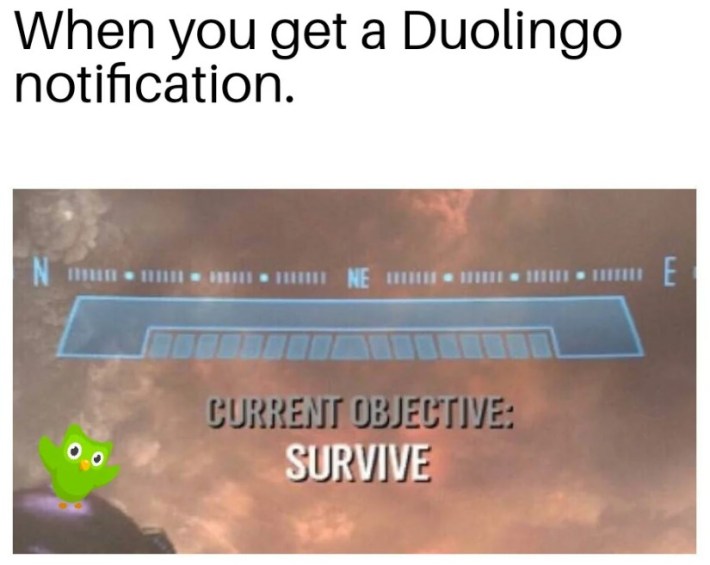 meme that read "when you get a duolingo notification," then says, "current objective-survive"