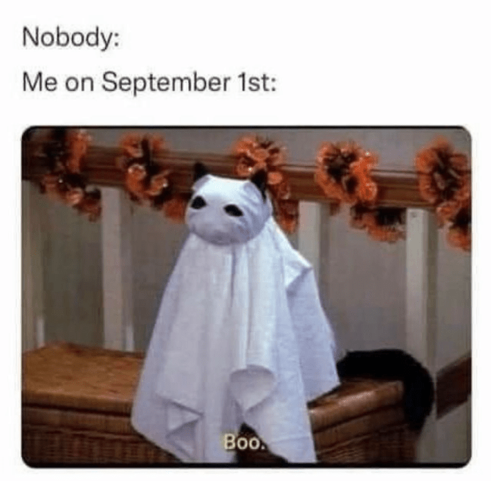 Screenshot of Salem from the live action Sabrina the Teenage Witch dressed as a ghost saying, "Boo." Text reads, "Nobody: Me on September 1st:"