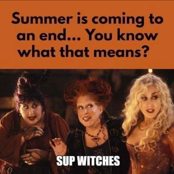 Fall meme. Text reads, "Summer is coming to an end... You know what that means?" With a screenshot from Hocus Pocus of the three witches saying, "Sup witches."