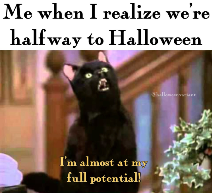 Fall meme that reads, "Me when I realize we're halfway to Halloween." Salem from Sabrina the Teenage Witch saying, "I'm almost at my full potential!"