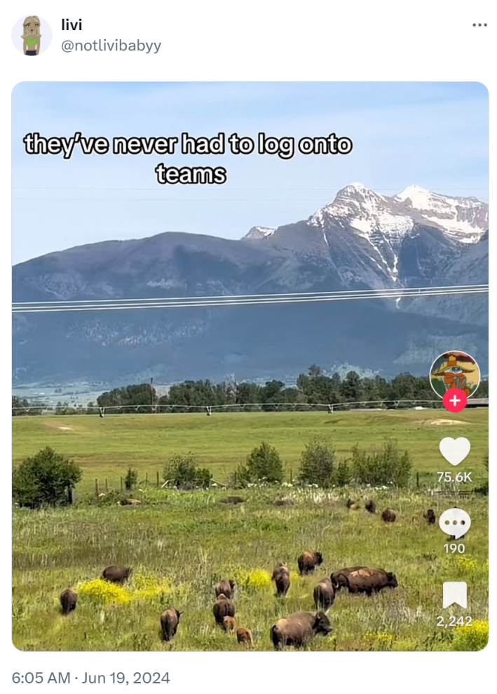 Funny work meme showing a field of wild animals with a mountain in the background. Text overlay reads, "they've never had to log into teams."