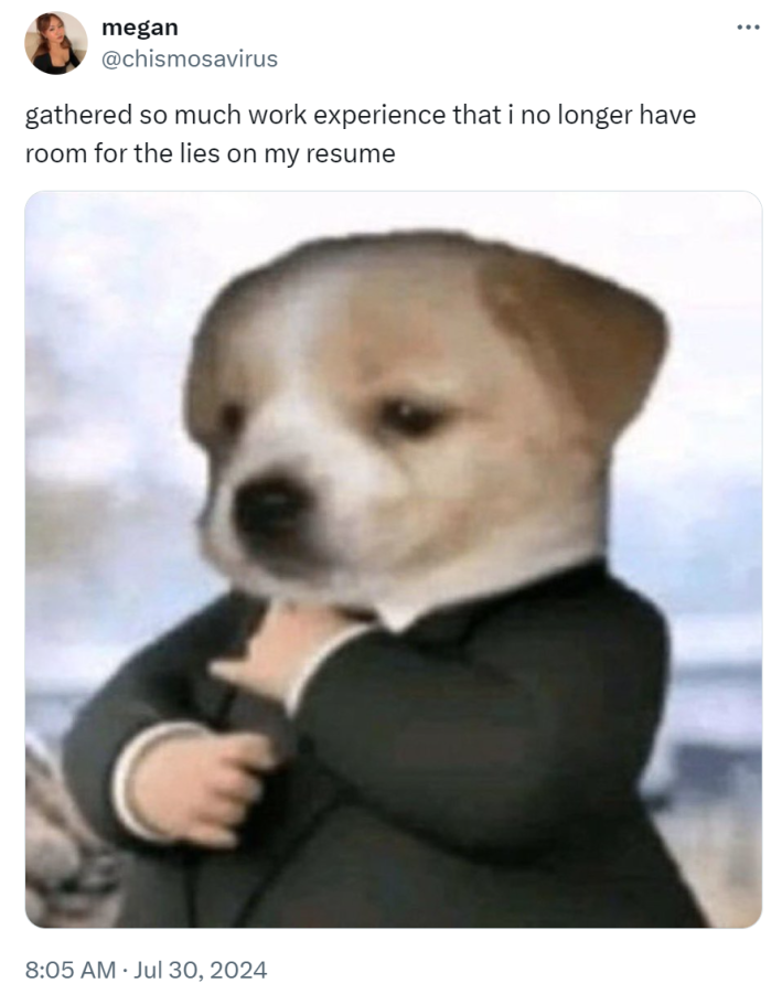 Funny work meme, text reads, "gathered so much work experience that i no longer have room for the lies on my resume" with a photo of a baby in a suit with a puppy's face photoshopped over it.