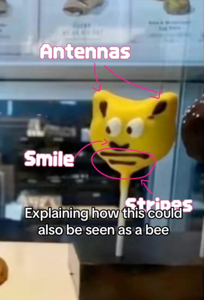 Screenshot of the 'he wants that cookie so bad' meme bumblebee with labels marking the bee's antennae, smile, and stripes. Text overlay reads, "Explaining how this could also be seen as a bee."