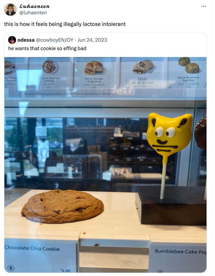 Quote retweet of the 'he wants that cookie so bad' meme. Text reads, "this is how it feels being illegally lactose intolerant"