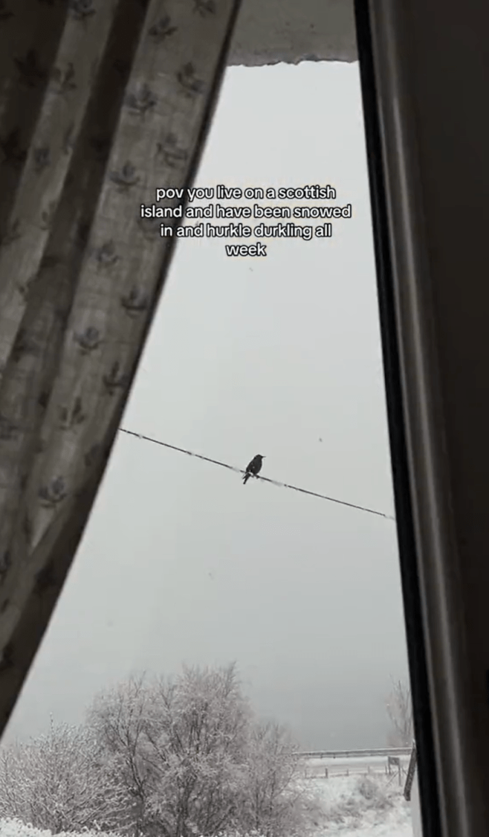 Snowy view out a cottage wind of a bird on an electric line. Text overlay reads, "pov you live on a scottish island and have been snowed in and hurkle durkling all week."