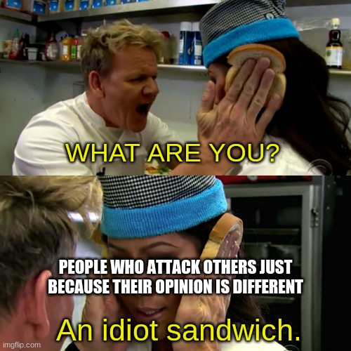 "people who attack others just because their opinion is different" idiot sandwich meme