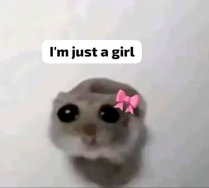 i'm just a girl hamster meme