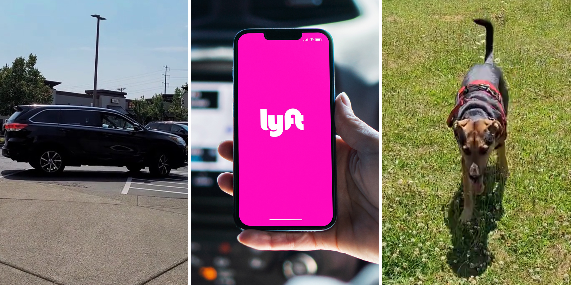 Customer puts Lyft driver on blast for refusing service dog