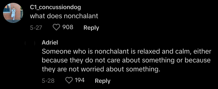 nonchalant dreadhead meaning screenshot from a @breazy2funny TikTok video