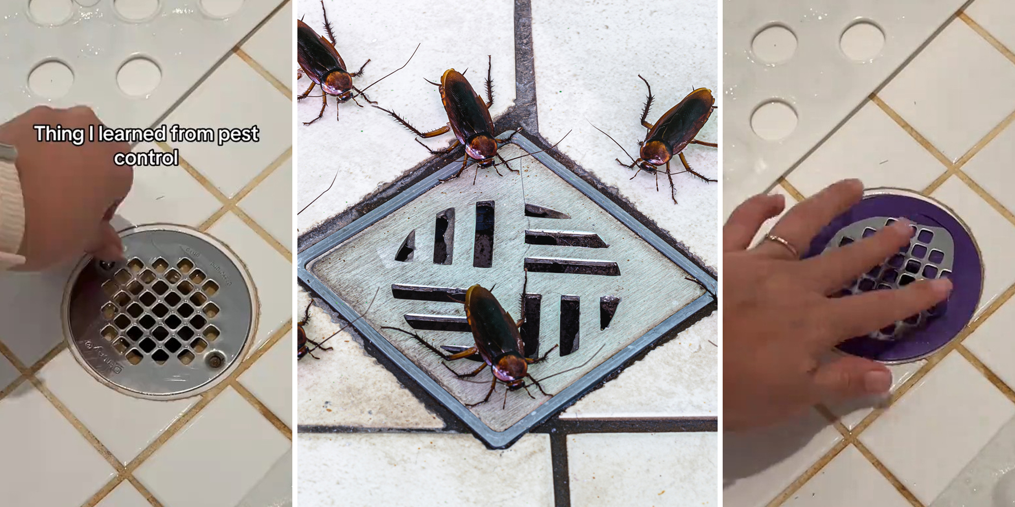hand unscrewing drain with caption "Thing I learned from pest control" (l) roaches on shower drain (c) hand adjusting purple balloon on shower grate (r)