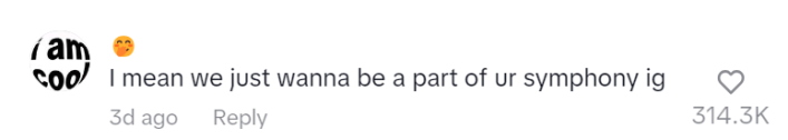 TikTok comment that reads, "I mean we just wanna be a part of ur symphony ig"