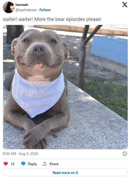 "waiter! waiter! More the bear episodes please!" tweet