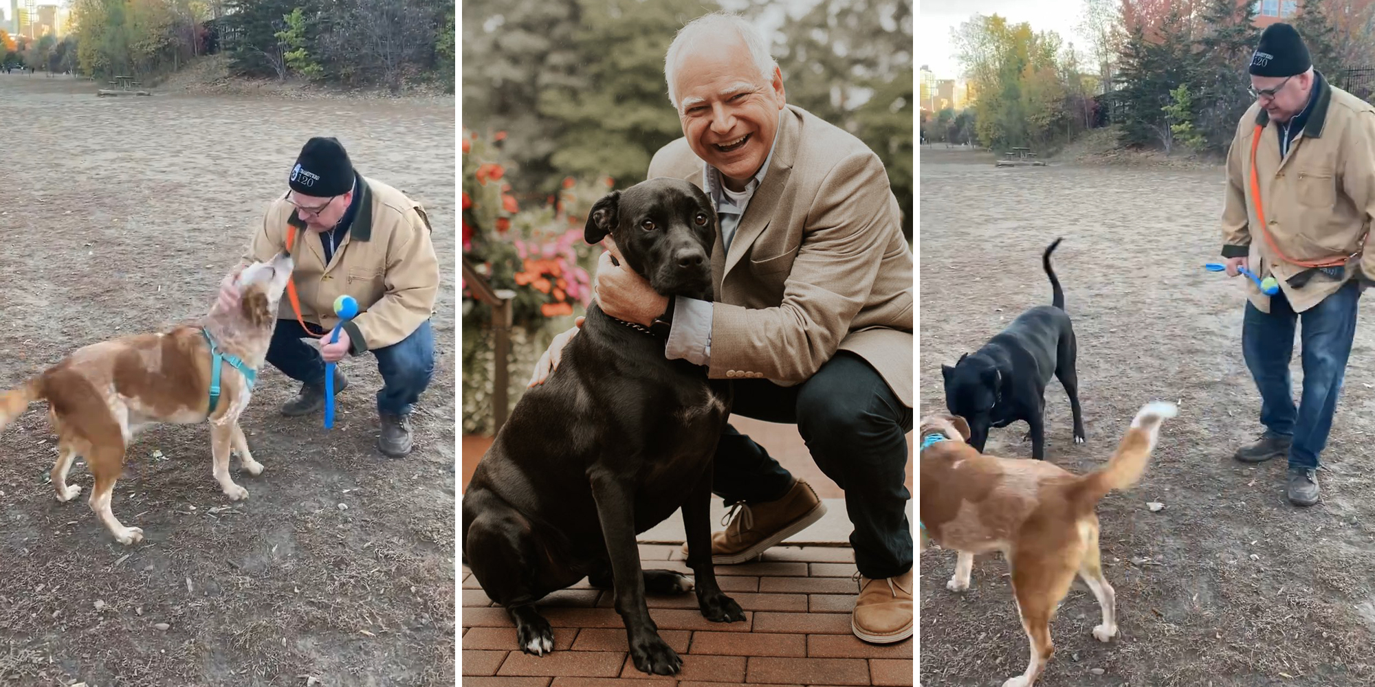 Gov. Walz with dogs
