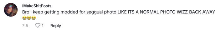 TikTok comment that says, "Bro I keep getting modded for seggual photo LIKE ITS A NORMAL PHOTO WIZZ BACK AWAY (sob emojis)"