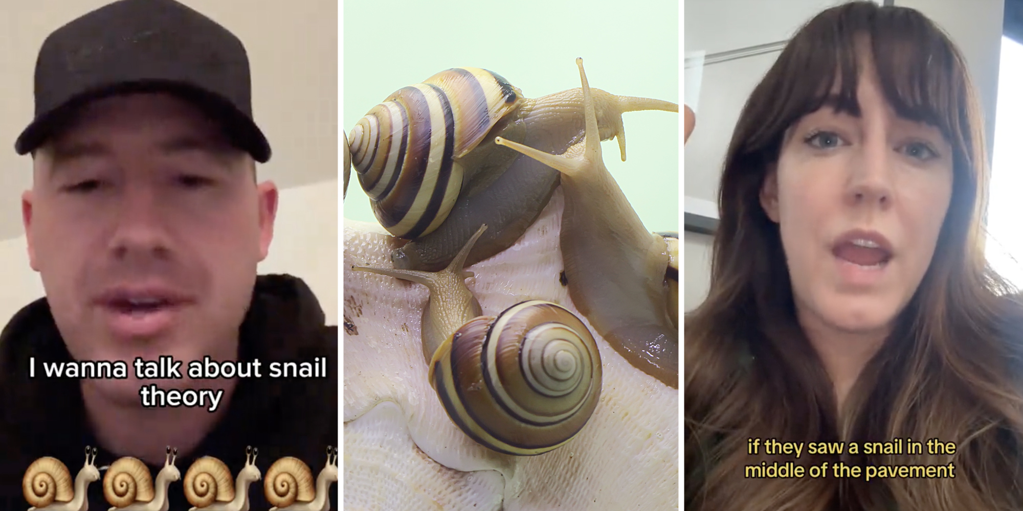 snail theory Man talking(l), Snails(c), Woman talking(r)