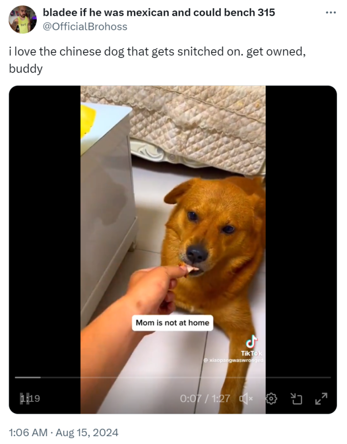 Reposted video of XiaoPang being fed duck with text overlay that reads, "Mom is not at home." Twitter comment reads, "i love the chinese dog that gets snitched on. get owned, buddy"