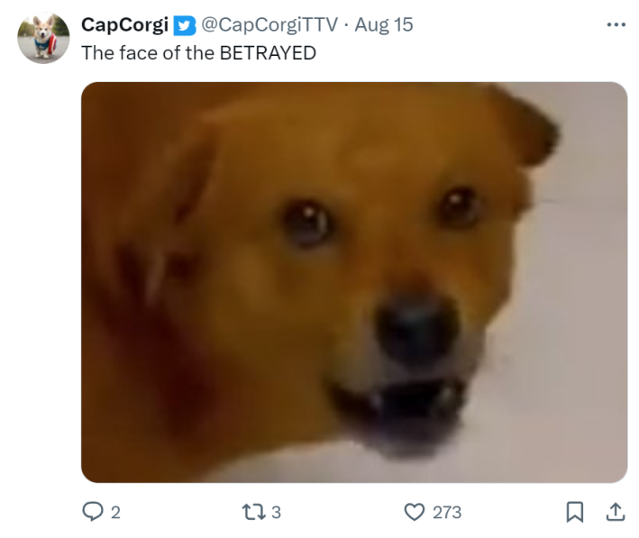 Face of the betrayed XiaoPang orange dog. Text reads, "The face of the BETRAYED"