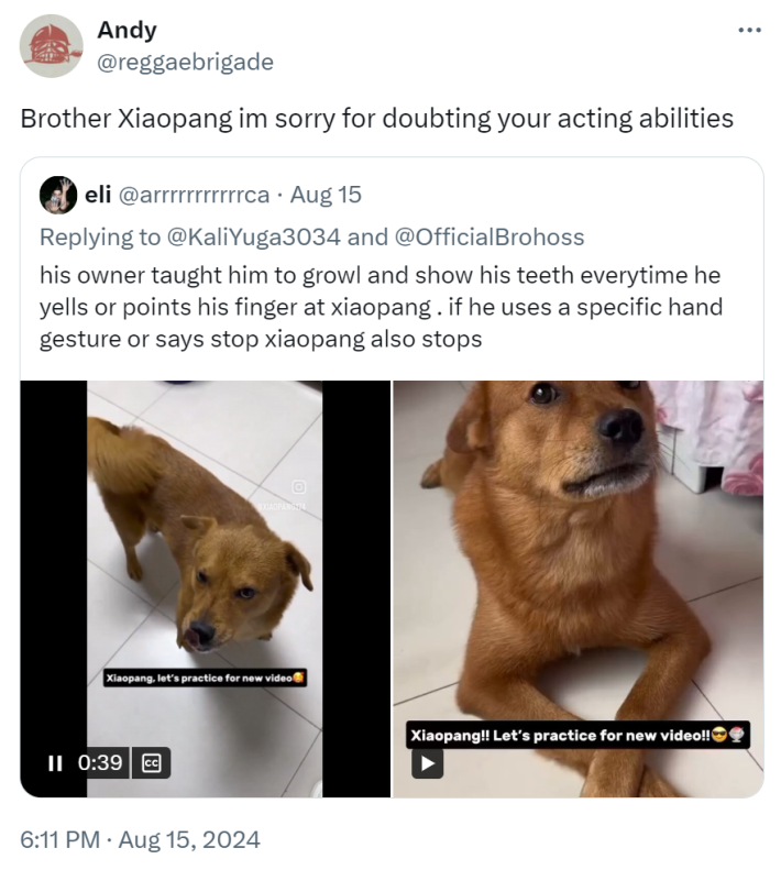 Tweet that reads, "Brother Xiaopang im sorry for doubting your acting abilities"