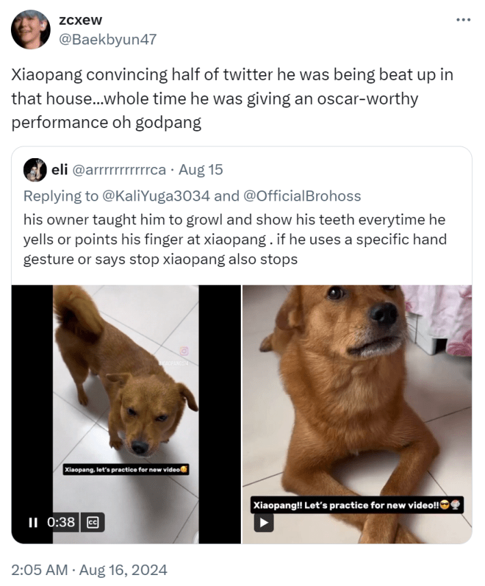 Tweet that reads, "Xiaopang convincing half of twitter he was being beat up in that house...whole time he was giving an oscar-worthy performance oh godpang."