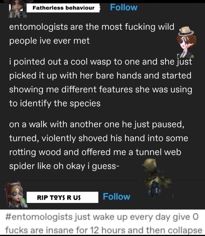 Brainrot Memes