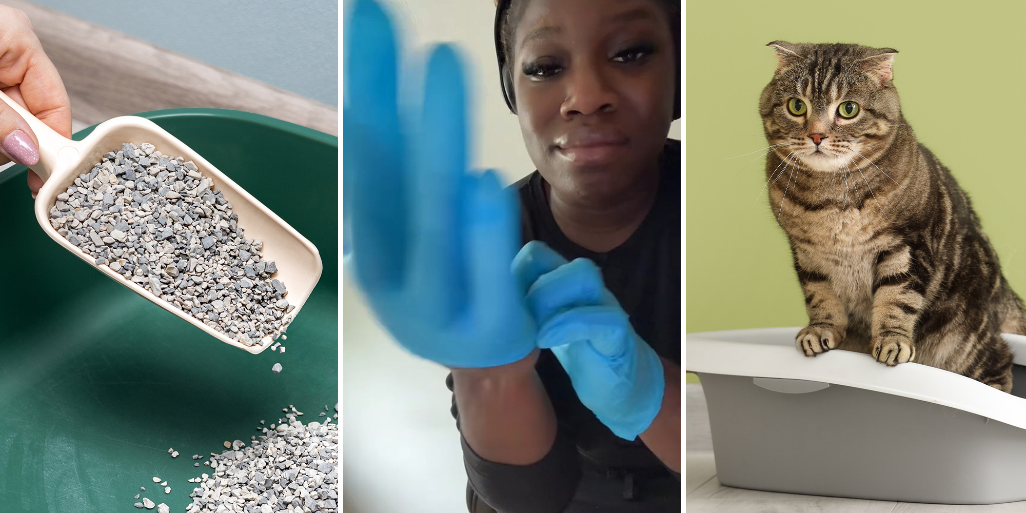 Nursing student warns you should use gloves to clean your litter box