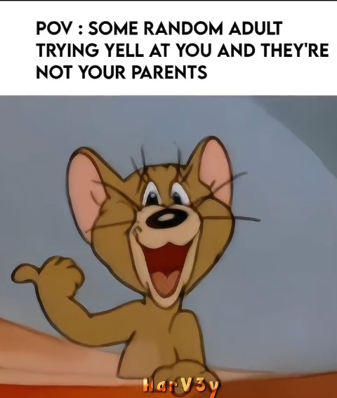 jerry pointing meme with caption "some random adult trying to yell at you and they're not your parents"
