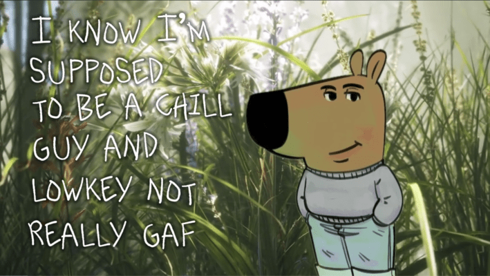 My New Character meme TikTok screenshot. Text on the video reads, "I know I'm supposed to be a chill guy and lowkey not really GAF."