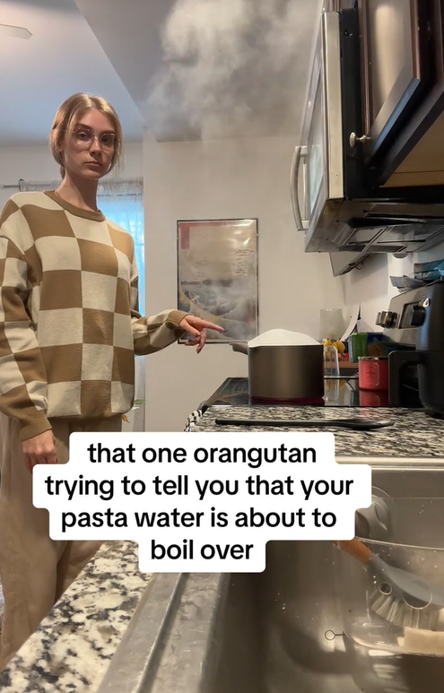 pointing orangutan meme