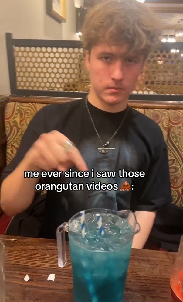 pointing orangutan meme