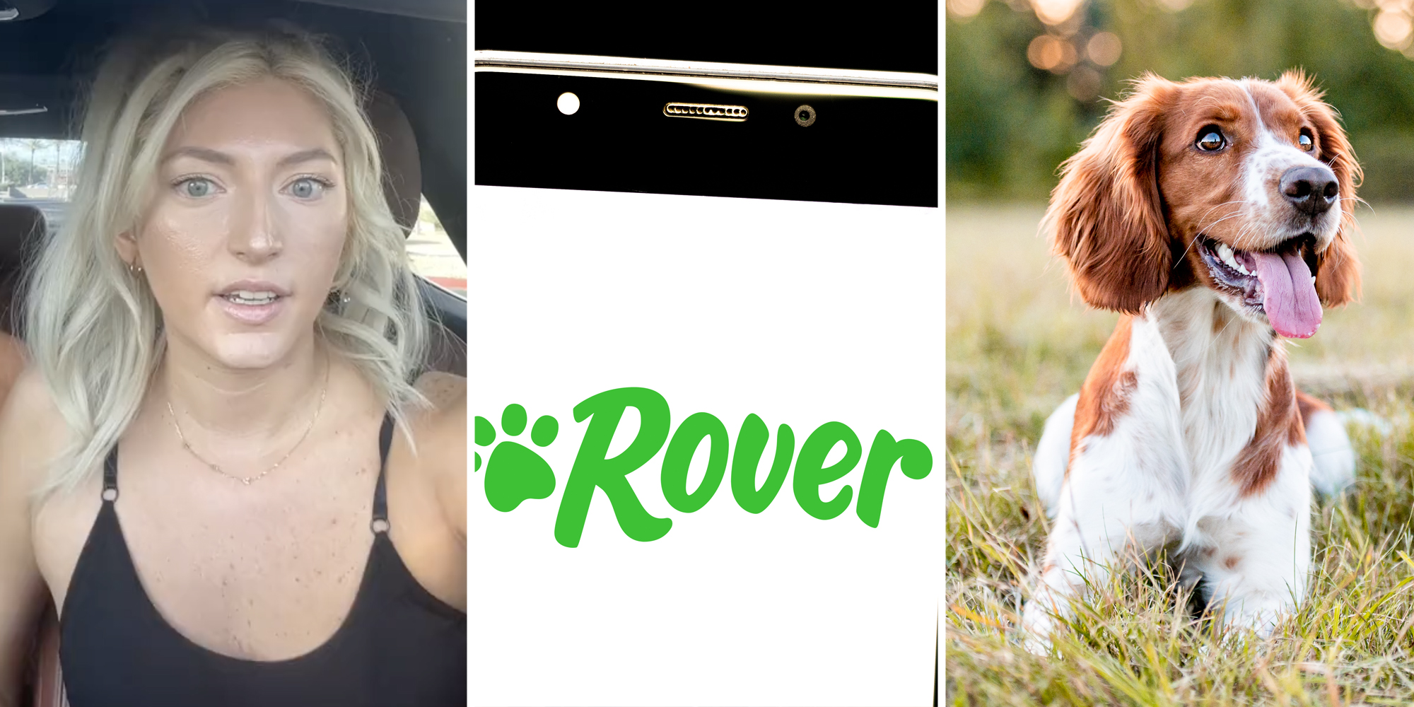 Woman talking(l), Rover app on phone(c), Dog in grass(r)