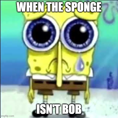 "when the sponge isn't bob"